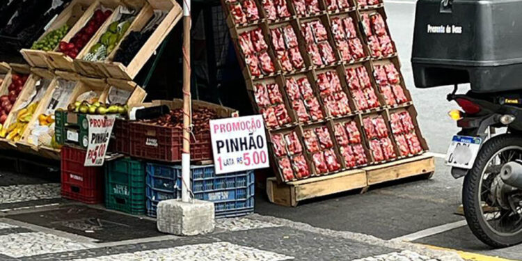 Comerciantes vendem pinhão ilegalmente em Curitiba; Lei prevê multa