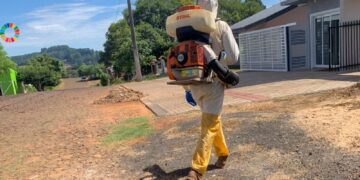 Pitanga na luta contra a Dengue
