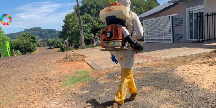 Pitanga na luta contra a Dengue