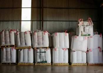 Plano Nacional de Fertilizantes pode tornar o Brasil exportador de potássio