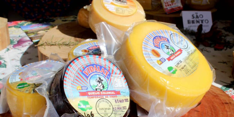 Mapa da Rota do Queijo Paranaense inclui 29 propriedades de diversas regiões do Estado