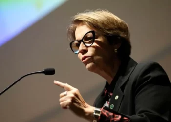 Na ONU, Tereza Cristina defende fertilizantes fora das sanções