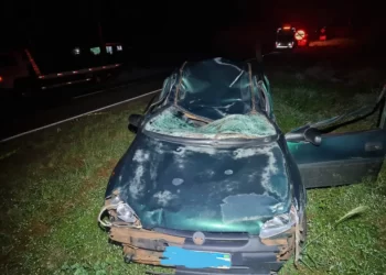 Homem morre após bater carro contra cavalo na PR-317