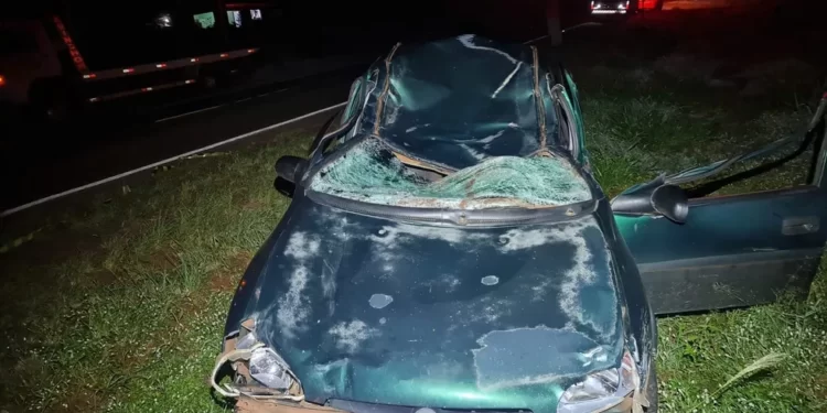 Homem morre após bater carro contra cavalo na PR-317