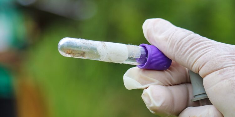 Prefeitura de Turvo alerta população sobre aumento nos focos de dengue