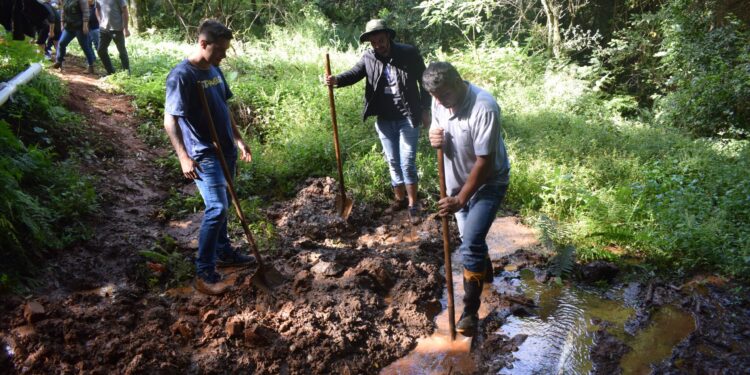 Dia Mundial da Água é comemorado com ação de proteção de nascente no Bairro Xarquinho
