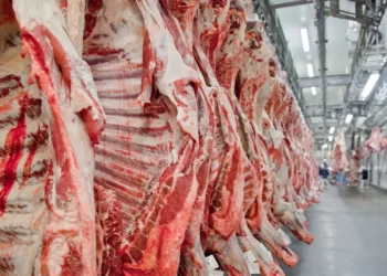 Brasil bate recorde de exportação de carne bovina em março