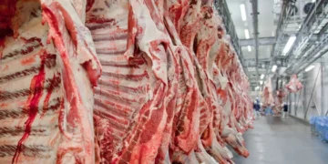 Brasil bate recorde de exportação de carne bovina em março
