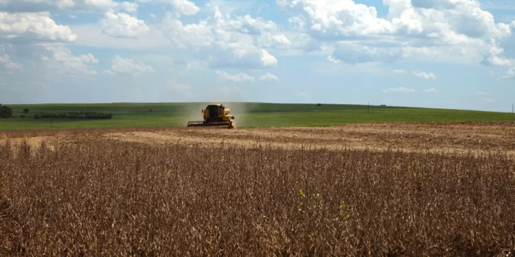 China quer ampliar a produção de soja