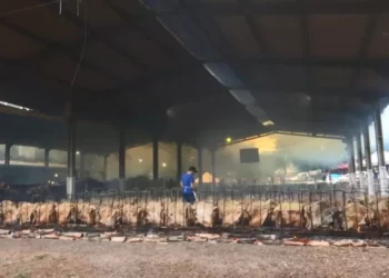 Tradicional ‘Festa do Costelão’ em Cascavel