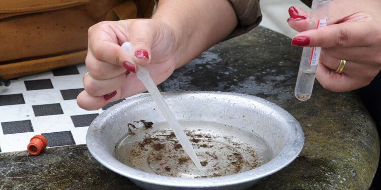 Com aumento de casos, Paraná declara epidemia de dengue