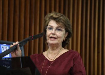 Deputada Cristina Silvestri cobra recuperação da pr-170 entre Guarapuava, Pinhão, Reserva do Iguaçu e Bituruna