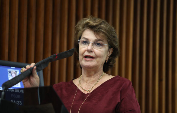 Deputada Cristina Silvestri cobra recuperação da pr-170 entre Guarapuava, Pinhão, Reserva do Iguaçu e Bituruna