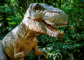 Jurassic Park brasileiro vai ser inaugurado este ano