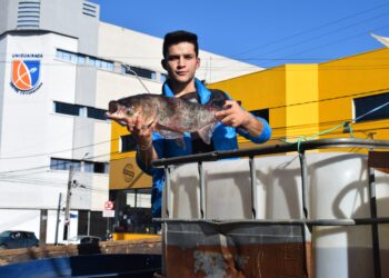 Feira do Peixe Vivo movimenta Praça Cleve