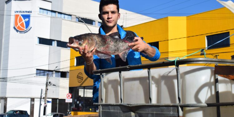 Feira do Peixe Vivo movimenta Praça Cleve
