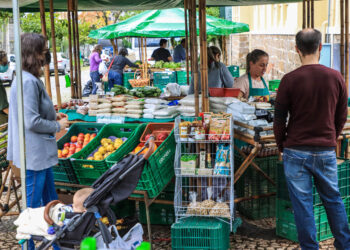 Paraná ganha mapa estadual de feiras orgânicas e agroecológicas; veja como pesquisar