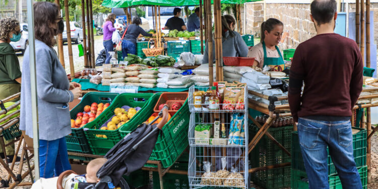 Paraná ganha mapa estadual de feiras orgânicas e agroecológicas; veja como pesquisar
