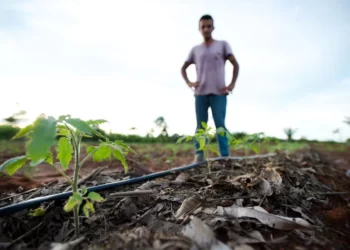 Reforma agrária: governo planeja acelerar entrega de títulos de propriedade