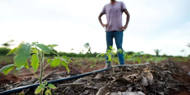 Reforma agrária: governo planeja acelerar entrega de títulos de propriedade