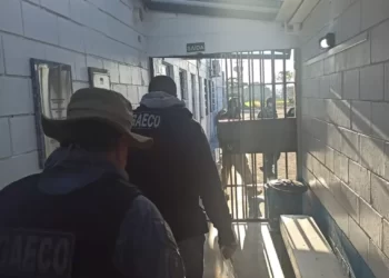Dois policiais penitenciários são presos e outros dois são afastados em operação do Gaeco