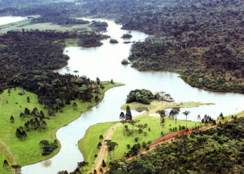 General Carneiro registra a menor temperatura do ano no Paraná, com 0,8ºC; veja as mínimas