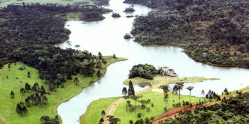 General Carneiro registra a menor temperatura do ano no Paraná, com 0,8ºC; veja as mínimas