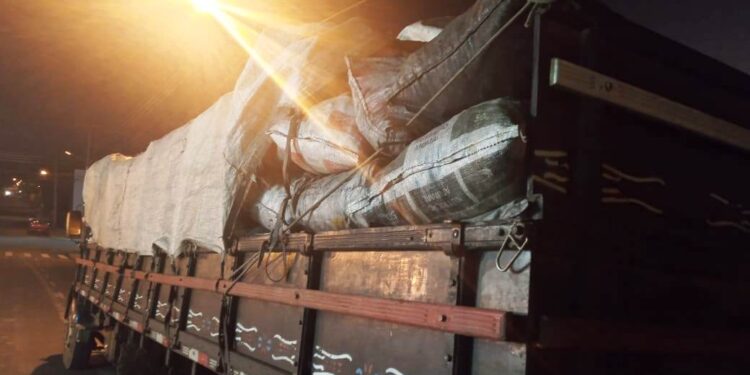 Polícia Ambiental apreende 4 toneladas de carvão vegetal em Inácio Martins