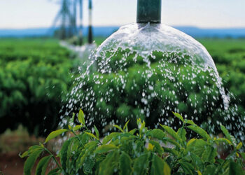 Usuários de irrigação e aquicultura devem atualizar cadastro para manter desconto na conta de luz