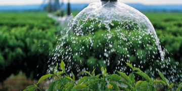 Usuários de irrigação e aquicultura devem atualizar cadastro para manter desconto na conta de luz