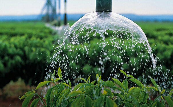 Usuários de irrigação e aquicultura devem atualizar cadastro para manter desconto na conta de luz