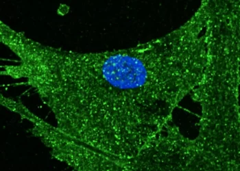 Inédito: cientistas conseguem reverter envelhecimento em 30 anos