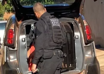 Criança é incendiada e morre em ritual para evocar espíritos malignos em Minas