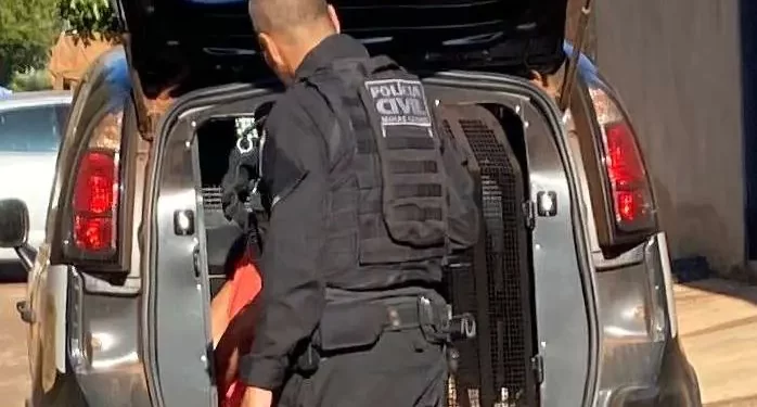 Criança é incendiada e morre em ritual para evocar espíritos malignos em Minas