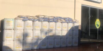 Operação Bloqueio prende contrabandista em Manoel Ribas