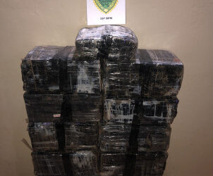 Em Manoel Ribas polícia apreende mais de 200 Kg de maconha