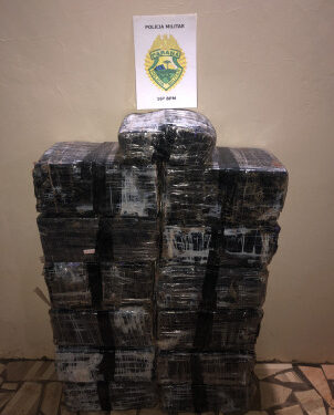 Em Manoel Ribas polícia apreende mais de 200 Kg de maconha