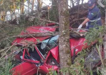 Carro fica destruído em acidente na PR-487, em Manoel Ribas