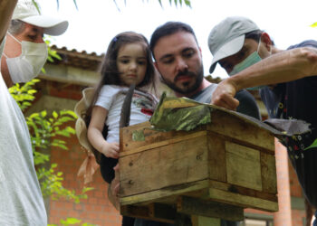 Consumo de produtos orgânicos “por assinatura” estimula produtores e consumidores