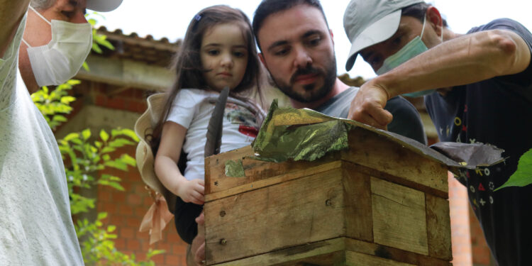 Consumo de produtos orgânicos “por assinatura” estimula produtores e consumidores