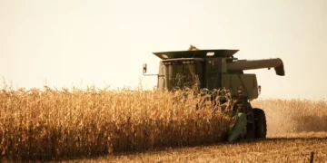 Plantio da safrinha vai a 99% no Paraná, enquanto colheita da safra verão segue em 89%, aponta Deral