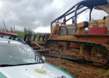 Homem é preso em flagrante por crime ambiental em Teixeira Soares