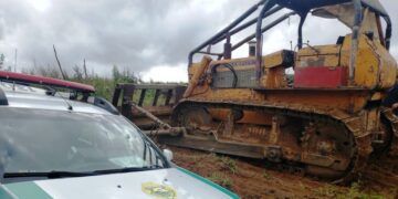 Homem é preso em flagrante por crime ambiental em Teixeira Soares