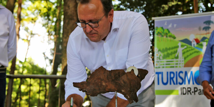 Universidade Estadual de Maringá e IDR-PR firmam parceria para fomentar turismo rural