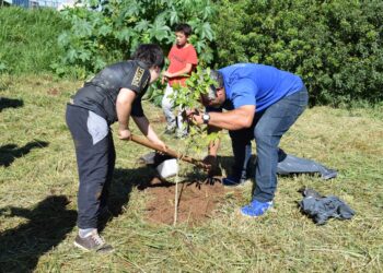Ações da Semag levam o plantio de mudas e doações de ferramentas até o Residencial 2000 e Bairro Xarquinho
