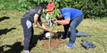 Ações da Semag levam o plantio de mudas e doações de ferramentas até o Residencial 2000 e Bairro Xarquinho