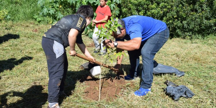 Ações da Semag levam o plantio de mudas e doações de ferramentas até o Residencial 2000 e Bairro Xarquinho
