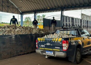 PRF do Paraná Bate Recorde Histórico e Apreende Mais de 203 Toneladas de Drogas em 2024