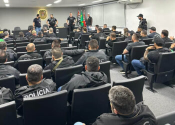 Polícia Civil Realiza Operação Contra Organização Criminosa Envolvida em Furtos de Luxo