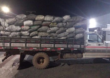 Polícia Ambiental Realiza Apreensão de Carvão e Araucárias sem Documentação em Pinhão-PR